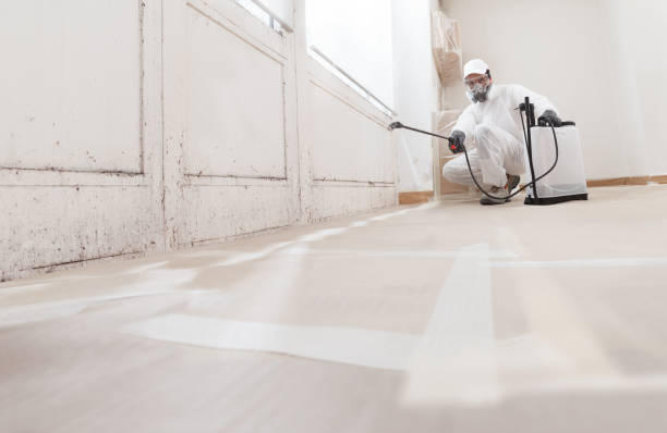 24/7 Emergency Black Mold Remediation experts in Centreville, VA